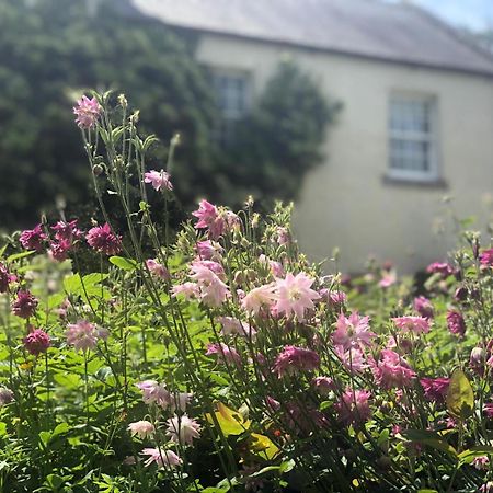 Dalton House Bed And Breakfast المظهر الخارجي الصورة