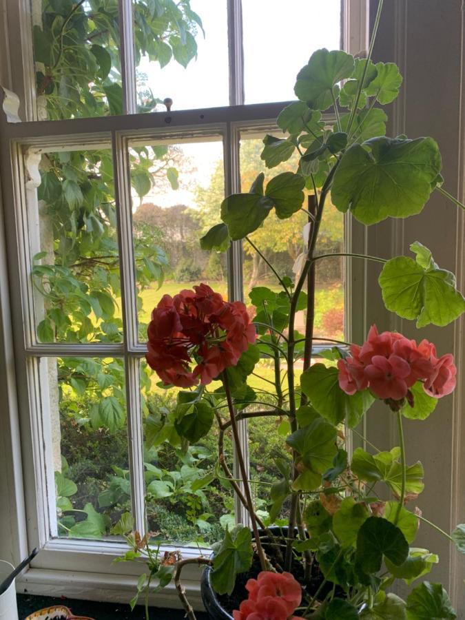 Dalton House Bed And Breakfast المظهر الخارجي الصورة