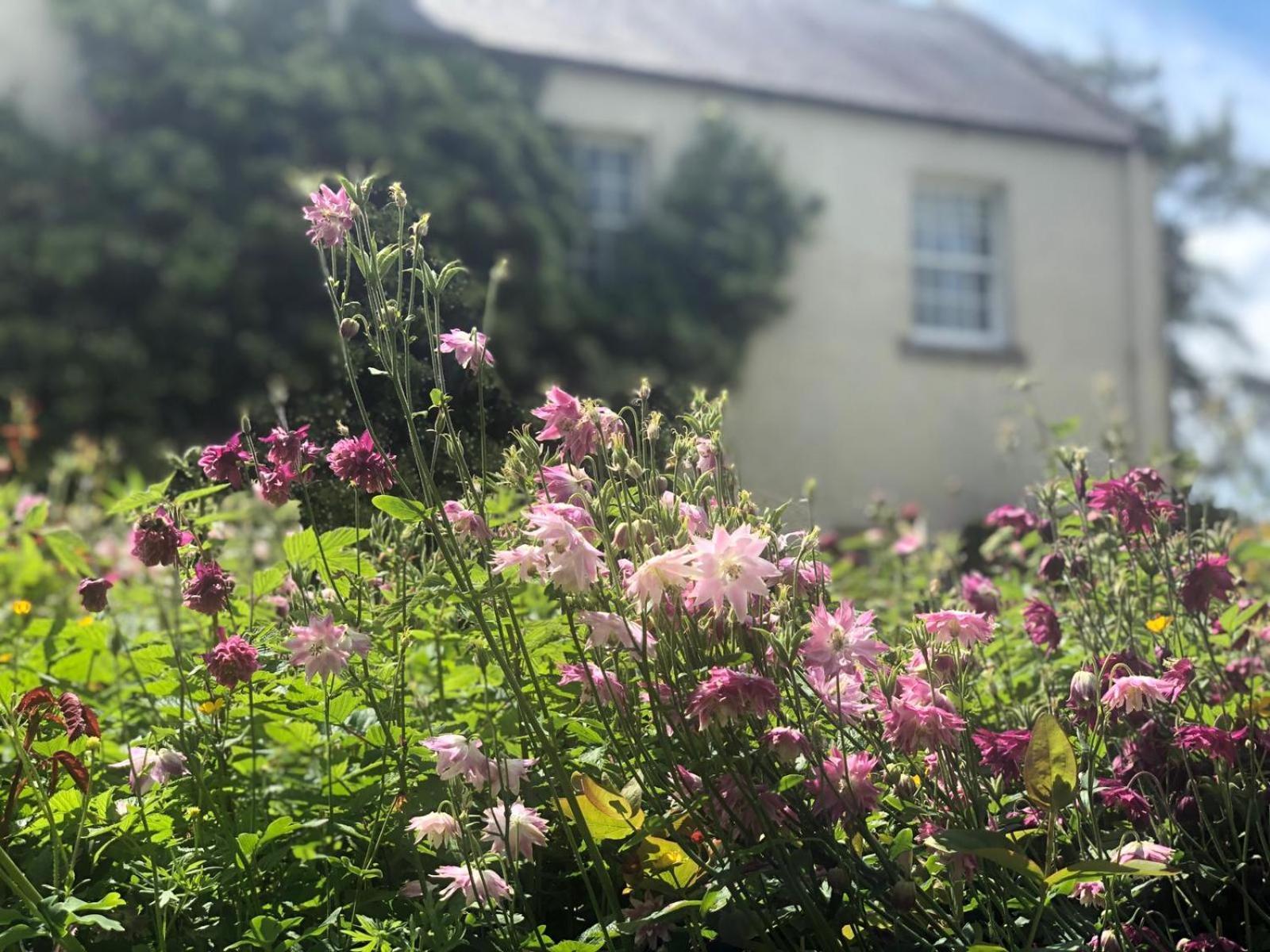 Dalton House Bed And Breakfast المظهر الخارجي الصورة