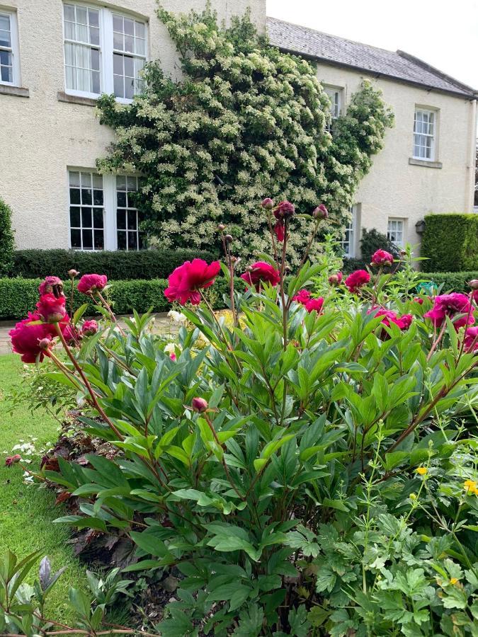 Dalton House Bed And Breakfast المظهر الخارجي الصورة
