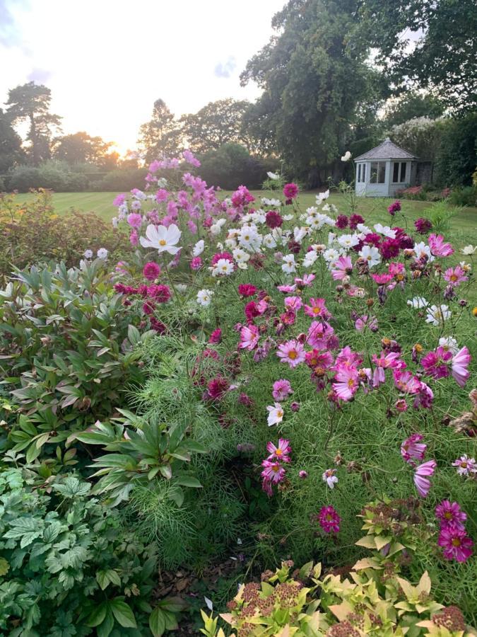 Dalton House Bed And Breakfast المظهر الخارجي الصورة
